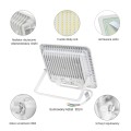NOCTIS LUX 2 NAŚWIETLACZ 50W CW 230V IP65 160x205x31mm BIAŁY