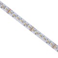 PASEK LED 20W/5m 3535/2216 24V RGBW CCT 96LED/1m 5 LAT 1M (rolka 5m) - w silikonie NANO