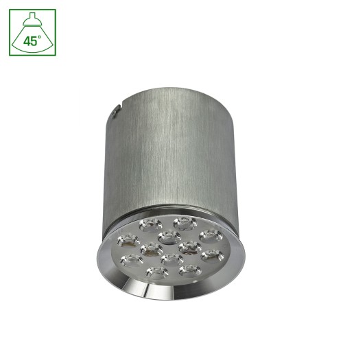 CHLOE 12LED 230V 12W IP20 45st WW SUFITOWE !!