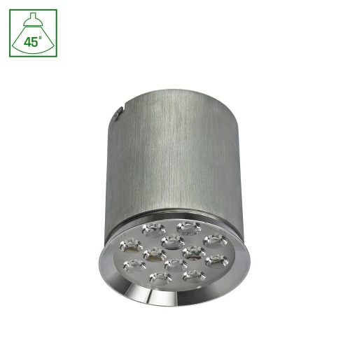 CHLOE 12LED 230V 12W IP20 45st CW SUFITOWE