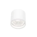 CHLOE AR111 NATYNKOWA GU10 250V IP65 120x115mm BIAŁY okrągła nieruchoma