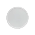 ALGINE NATYNK DOWNLIGHT 24W NW 230V 120st IP20 IK06 288x38mm BIAŁY okrągła