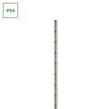 PASEK LED 2835 12V 120LED 9,6W/m 730lm/m NW 8mm IP54 2LATA 20m roll
