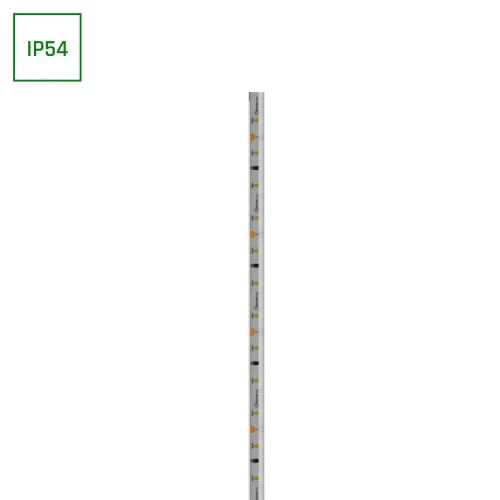 PASEK LED 2835 12V 60LED 4,8W/m 336lm/m CW 8mm IP54 2LATA 20m roll
