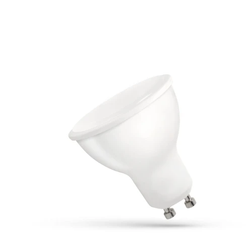 WOJ--13259,img01.jpg